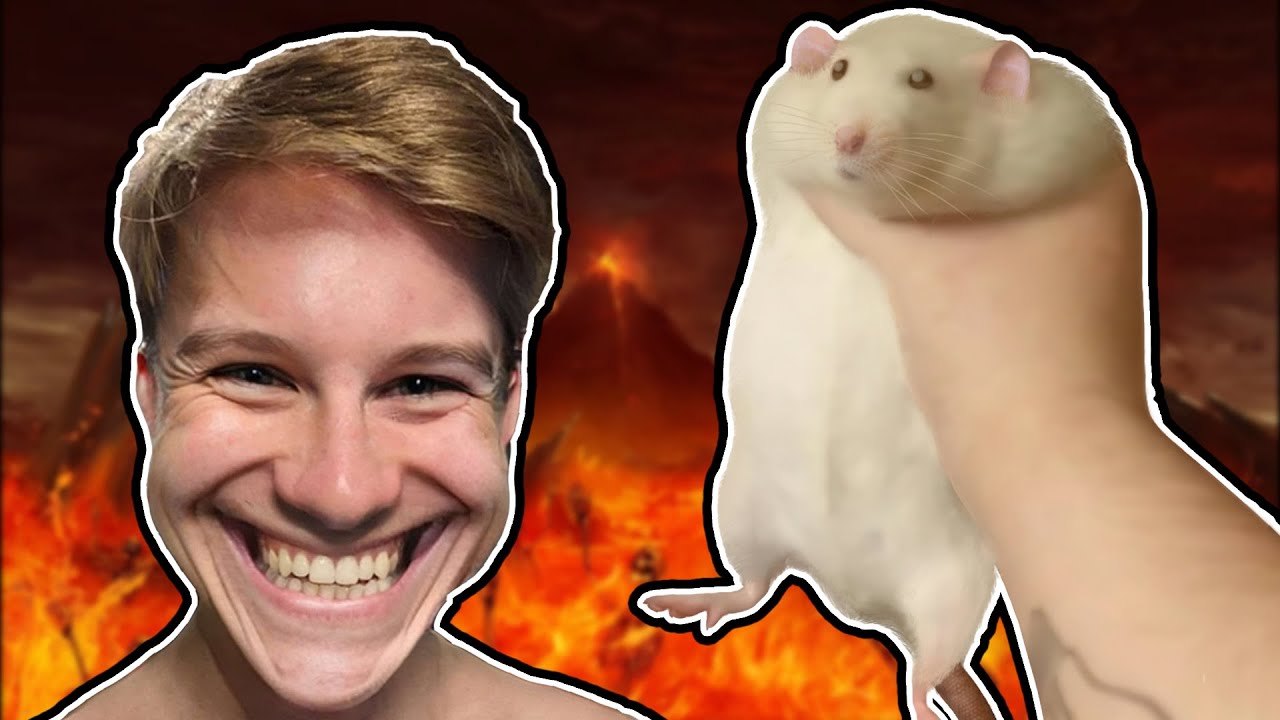 That time I used my HAMSTER as a HOTWHEEL YouTube