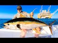 Monster tuna under oil rig catch clean  cook