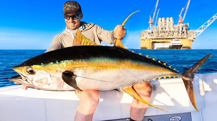 Monster Tuna Under Oil Rig! Catch, Clean & Cook!