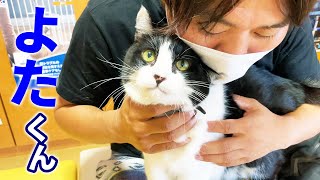 動物病院の看板猫はお返事が得意