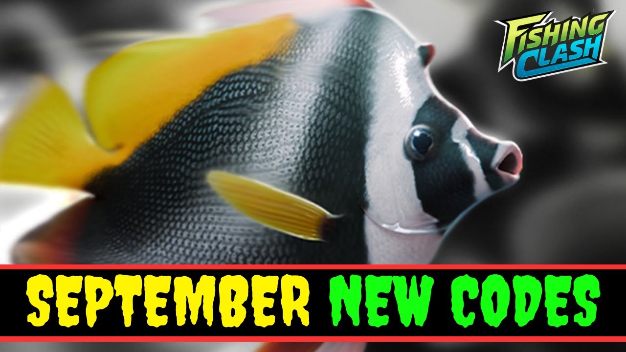 SEPT NEW CODES FISHING CLASH CODES 2024 - FISHING CLASH GIFT CODES ...