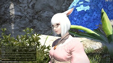 FFXIV ARR - Main Quest 2 Lv.50 - 03 Flowers for One 03