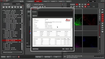 Leica LAS X Software: Metadata