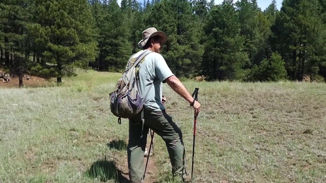 Arizona Trail Passage 28 Happy Jack, northbound Part 2 of 2 YouTube