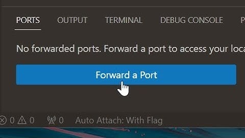 vs code port forwarding.