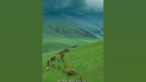 سورة الغاشية للقارئ. عصام محمود