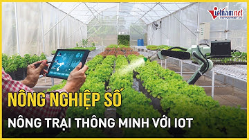 Nông nghiệp số – Nông trại thông minh với IoT | Báo VietNamNet