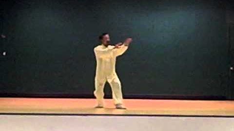 Master Wang Ren-Gang - Dachengquan Demo 2008 Zhang San-Feng Festival