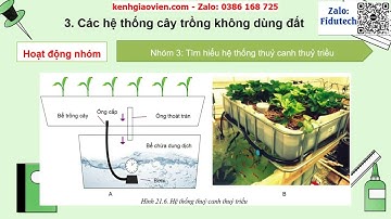 Giáo án powerpoint CĐ7 bài 21: Công nghệ trồng cây...| GA điện tử Công nghệ 10 - CNTT cánh diều