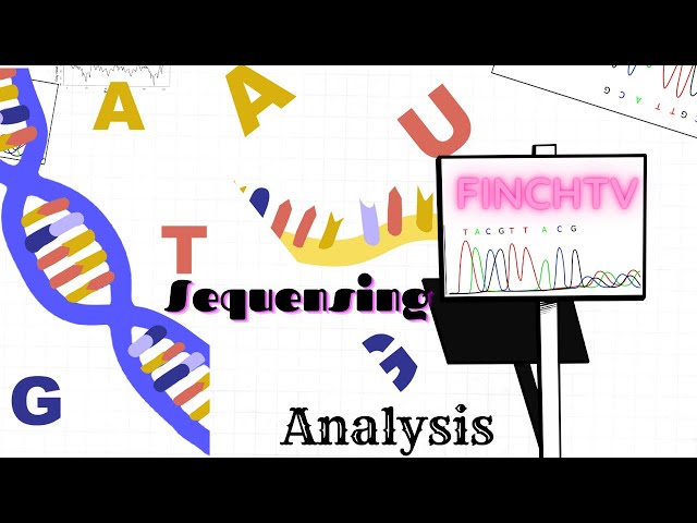 A brief guide of chromatogram analysis with FinchTV class=