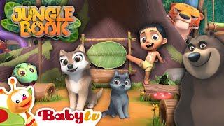 Jungle Book 🌿🐍🐻 Brand-New Show Starts November 20Th Only On @Babytv