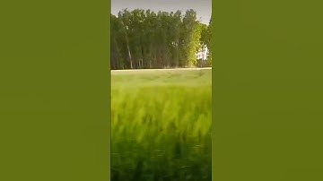 قُلْ إِنِّي أَخَافُ إِنْ عَصَيْتُ رَبِّي عَذَابَ يَوْمٍ عَظِيمٍ﴾[ سورة الزمر]
