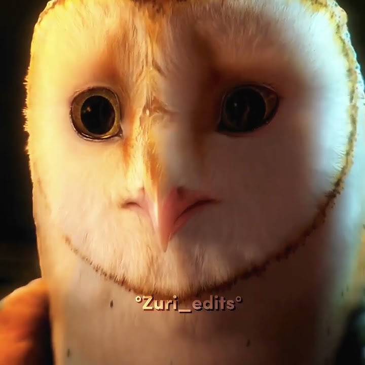 Legend of the guardians: The Owls of Ga'hoole | Soren edit | #shorts #fyp #owls #fypシ