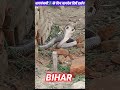 नागपंचमी🐍के दिन नागदेव 😱 दिएं दर्शन#shorts #vlog #village