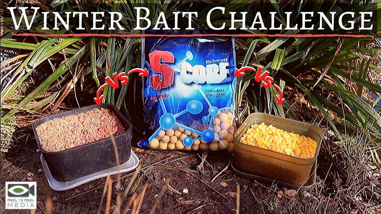 CARP FISHING ~ Maggots v Boilies v Sweetcorn for Carp in Winter