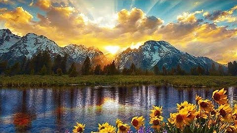 سورة غافر مكتوبة من (٥٩ إلى ٧٧) بصوت أيمن السويد 🌼🍃🌼