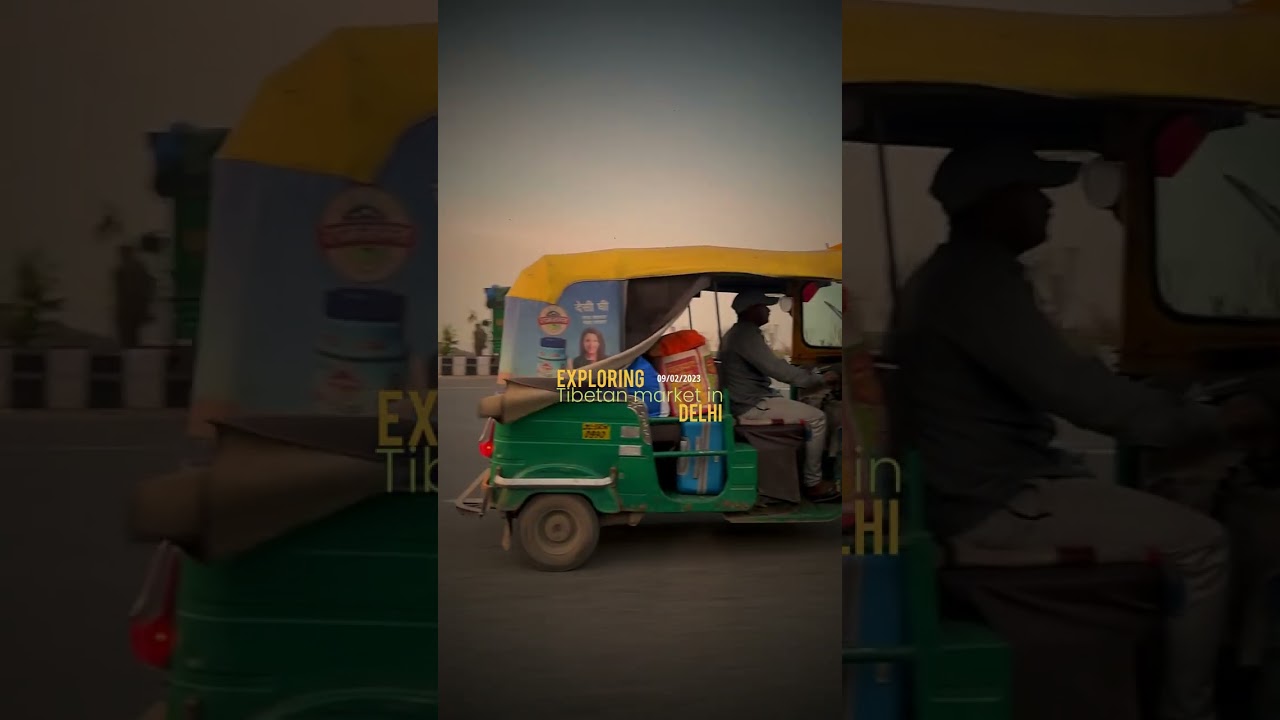 exploring tibetan market in delhi
