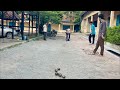 Funny petanque fighting #volleyballworld #volleyballteam #volleyballlife #volleyballgame