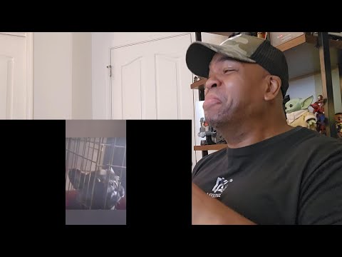 Try not to laugh CHALLENGE 53 - by AdikTheOne 