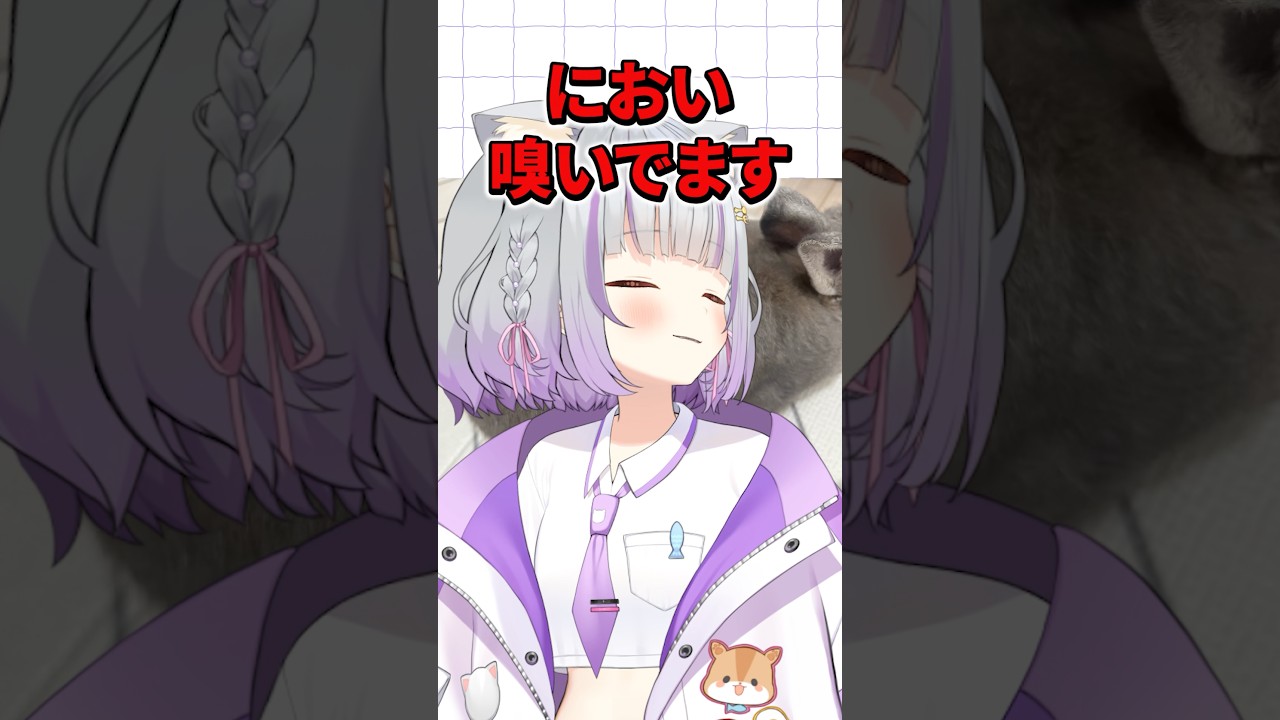【初見さんどこ?】 #加猫のか #vtuber