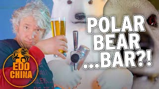 I made a BAR out of a POLAR BEAR | Workshop Diaries | Edd China