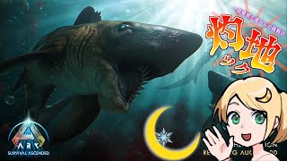 #13【ASA】新実装生物へリコ....灼地ック遊ばせてもらう