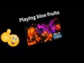 Playing Blox Fruits