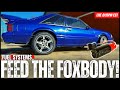 FEED The Foxbody! Mustang Fuel Systems &amp; Shop TALK LIVE!