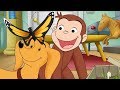 Jorge el Curioso en Español 🐵 Hundley Junior 🐵 Capitulos completos del Mono Jorge