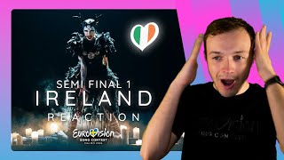 IRELAND at Eurovision 2024 | Semi Final 1 Live Performance Bambie Thug with "Doomsday Blue" REACTION