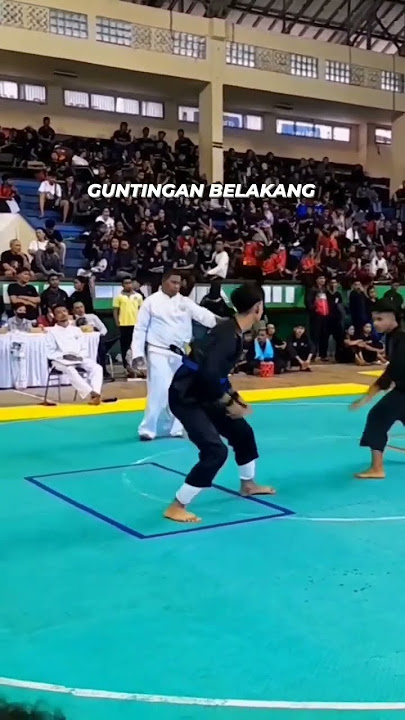 Gunting Belakang || Pencaksilat #padjadjarancimande #silat #psht #tapaksuci #tadjimalela