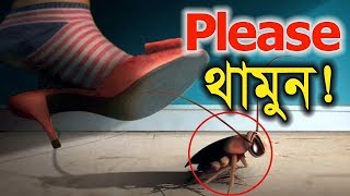 তেলাপোকার উপকারিতা জানলে জীবনেও মা*রবেন না ║ Please Save Cockroaches ║ AGB NEWS