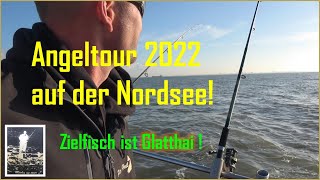 Hai, Plattfisch und Co angeln, auf der Nordsee!