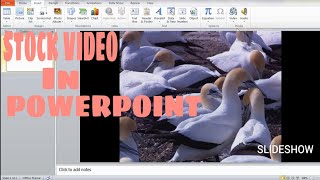 HOW TO INSERT STOCK VIDEO IN MS POWERPOINT | Love Claire