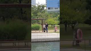 Peeing boys in Songdo, Incheon, Korea