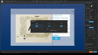 Tutorial:  Creating Custom Info Windows (Purchase, Info, Video etc.) in 3DVista Virtual Tour PRO