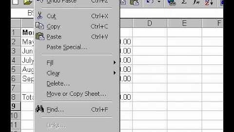 Microsoft Office Excel 2000 Copy Worksheet