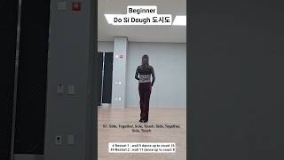 Do Si Dough (도시도) / Beginner Linedance COUNT