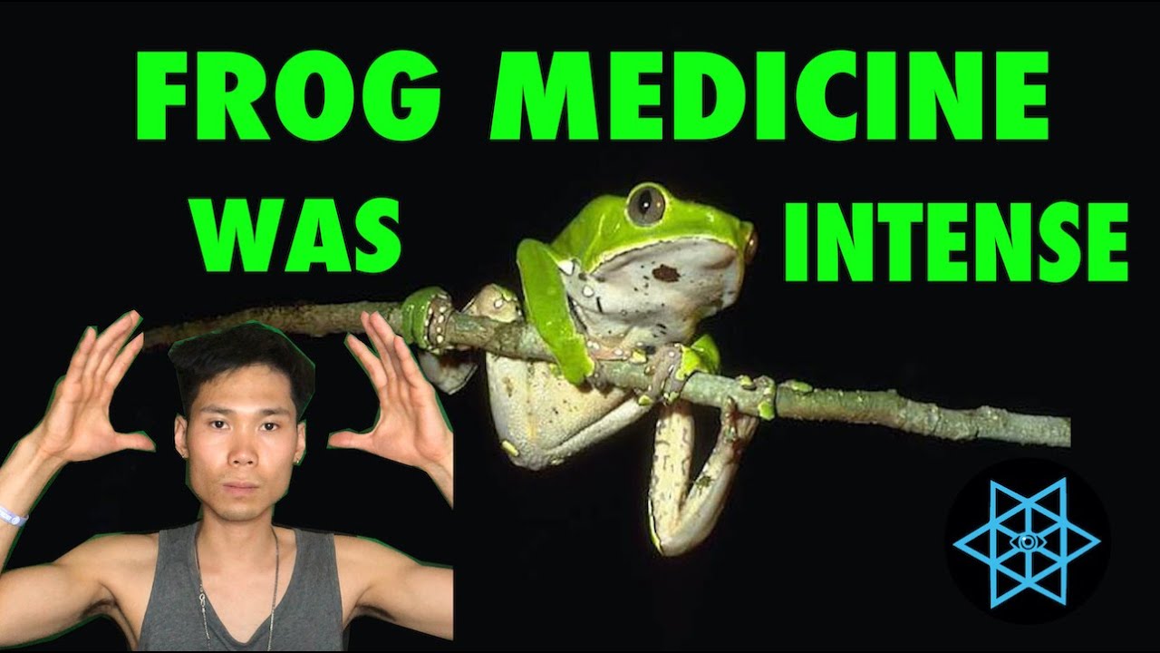 Kambo Intoxication An Overview Of The Frog Species Used In Kambo Medicine – JRABG