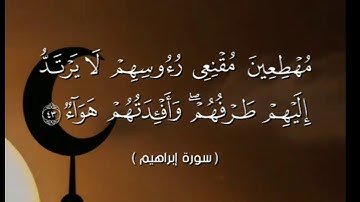 ربنا إنك تعلم ما نخفي وما نعلن) تلاوة خاشعة ومؤثرة جدا للشيخ " مشاري راشد العفاسي