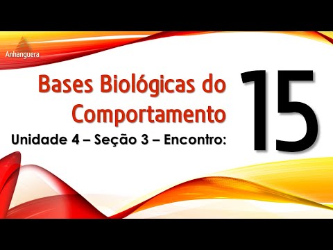 Vídeo: O Uso De Múltiplas Drogas Correlaciona-se Positivamente Com Prescrições De Alto Risco Em Idosos Japoneses: Um Estudo Longitudinal