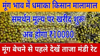 मूंग भाव में बड़ा धमाका /मूंग में आएगी तूफानी तेजी#mung price today#mung mandi bhav screenshot 3