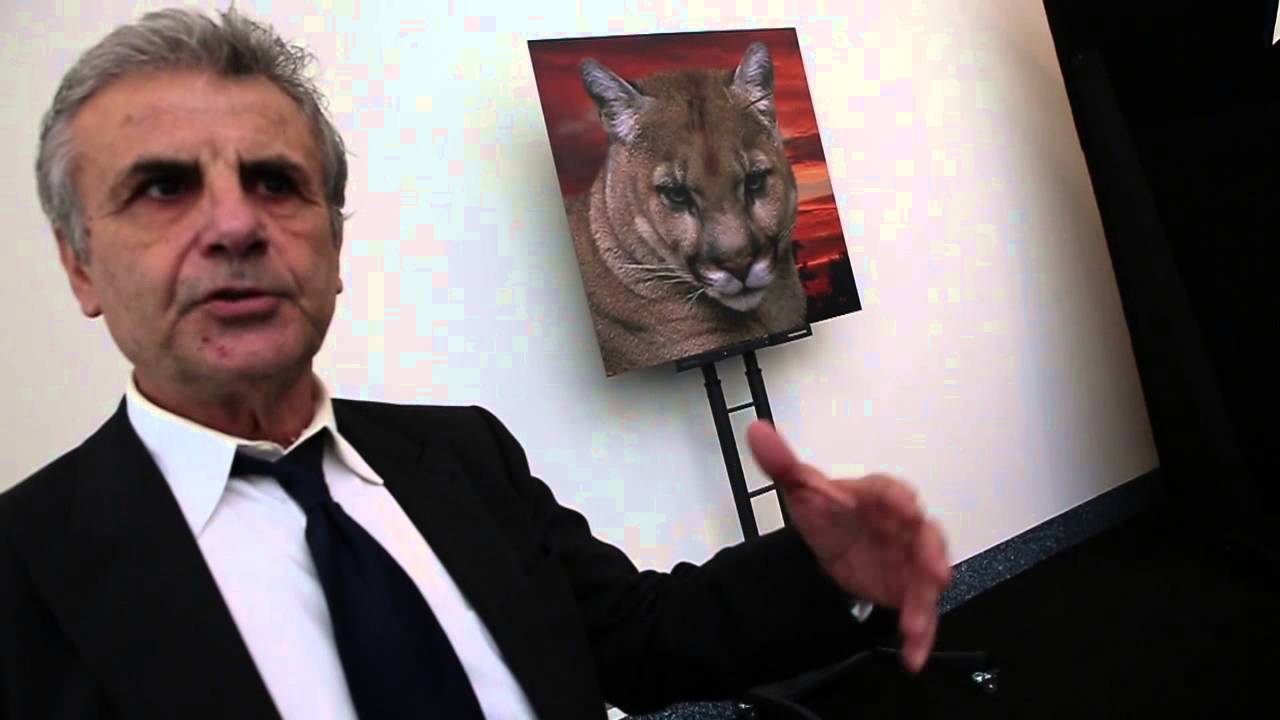 퓨마라는 이름의 황당한 자동차 YOUABIAN PUMA