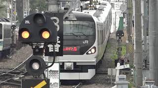 今年のGWも2本の「武田菱」が中央本線を走る、E257系臨時特急「あずさ」(回送列車含む)。