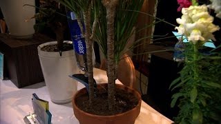 High-tech help with protecting your kids, baking, doing laundry