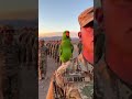 Funny 😂 talking Parrot 🦜 #talkingparrot #funny #parrot #ai #fyp