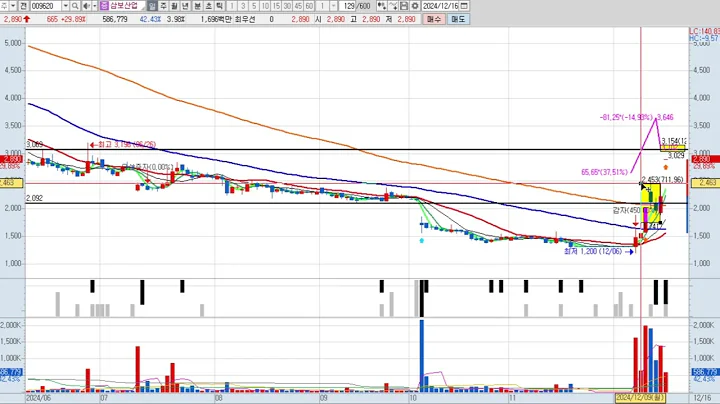 삼보산업 009620 패턴분석 및 투자전략