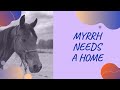 Myrrh Needs A Home