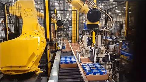 Robotic Case Packers by TransAutomation Technologies