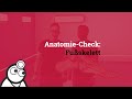 Anatomie-Check: Das Fußskelett